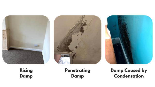 Examples of rising damp, penetrating damp and damp caused by condensation