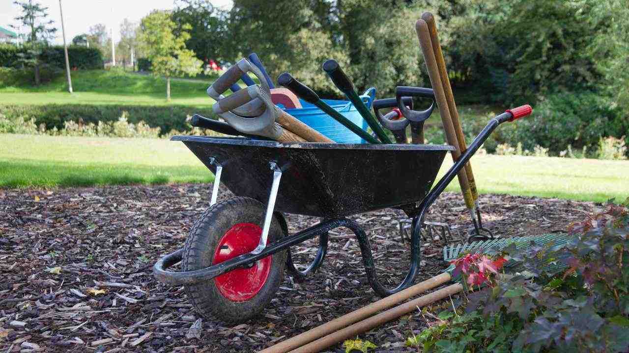 BNS Gardeners: Bristol’s Finest Garden Maintenance Services